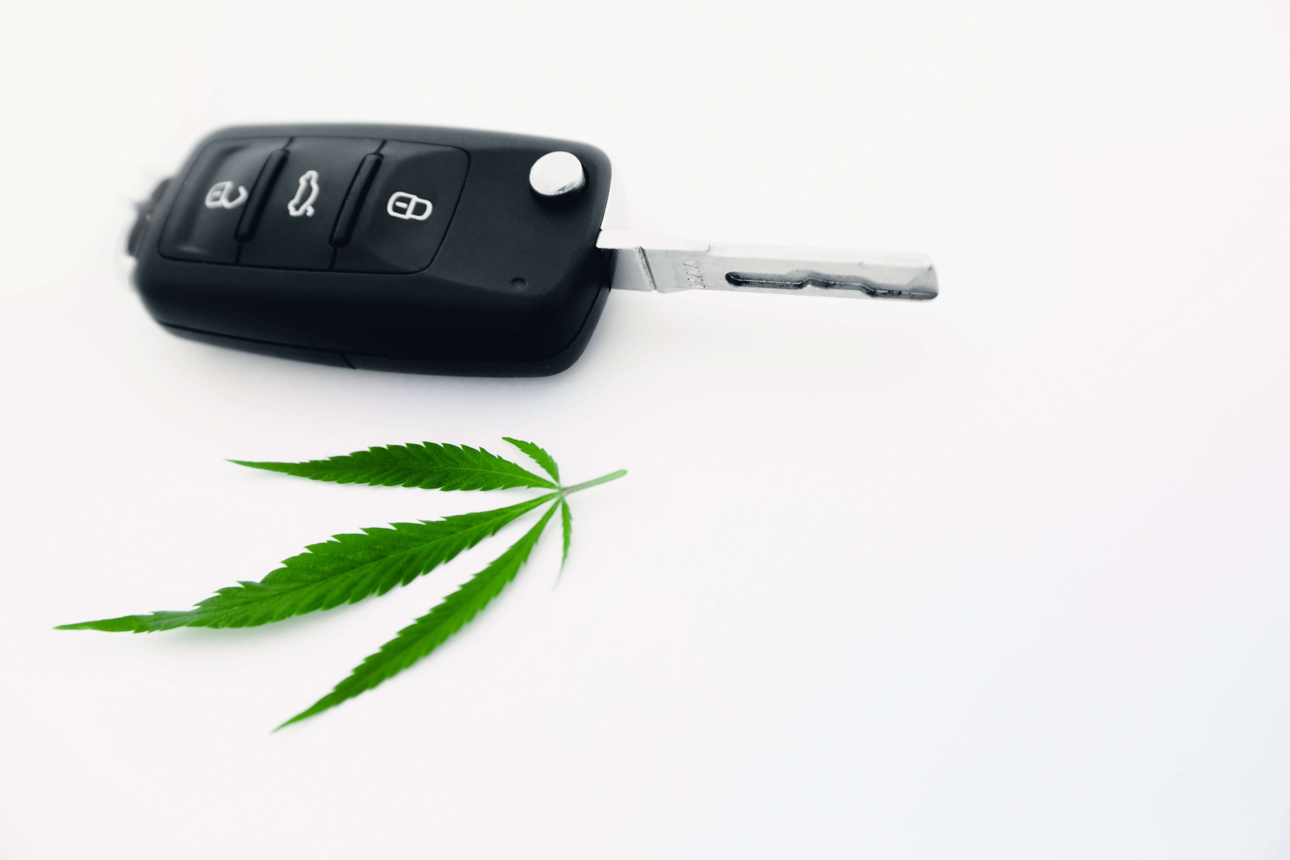 Expert Advice on How to Get Weed Smell Out of Your Car