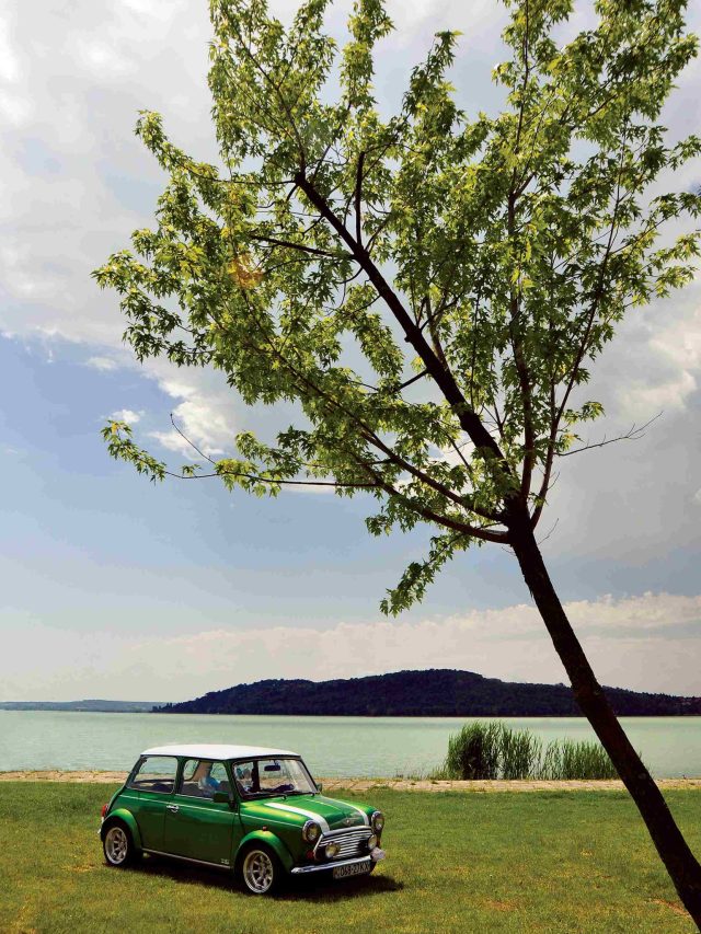 The best beginner friendly cars for new drivers. » Way Blog