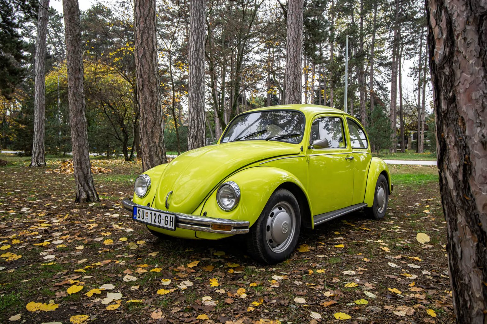 Miles & Milestones 10 Longest Production Car Runs in History!